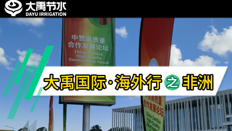 yp街机电子游戏国际·海外行之非洲