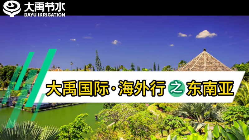 yp街机电子游戏国际海外行之东南亚