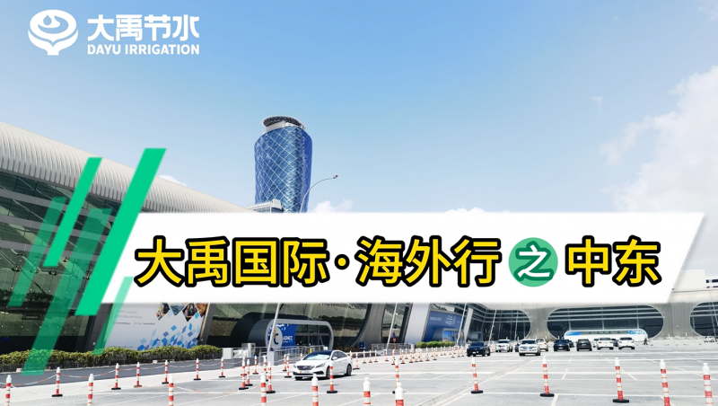yp街机电子游戏国际·海外行之中东